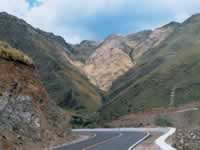 Merlo San Luis