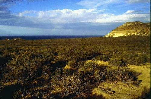 Reserva Provincial Punta Loma