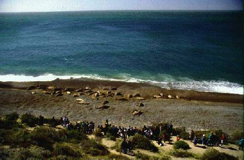 Reserva Provincial Punta Loma