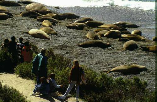 Reserva Provincial Punta Loma