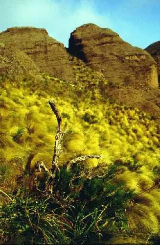 Area Natural Los Terrones