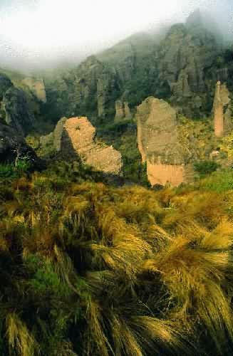 Area Natural Los Terrones