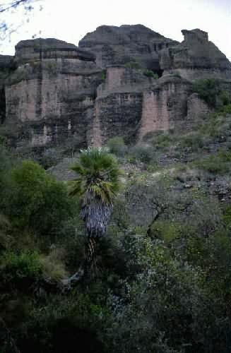 Area Natural Los Terrones