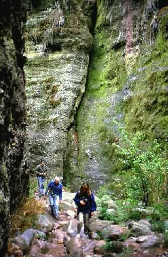 Area Natural Los Terrones