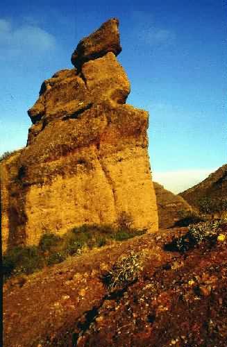 Area Natural Los Terrones