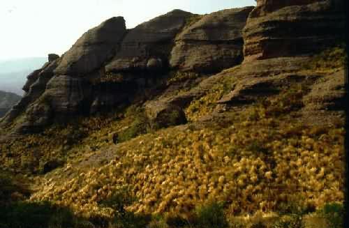 Area Natural Los Terrones