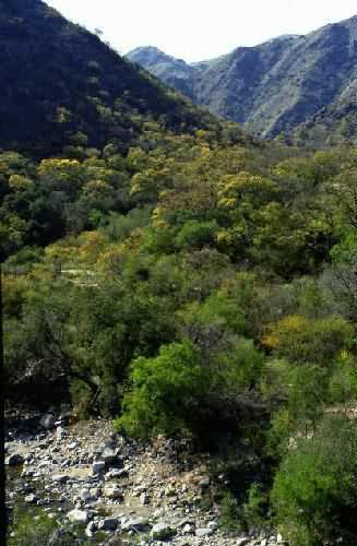 Area Natural Cerro Uritorco