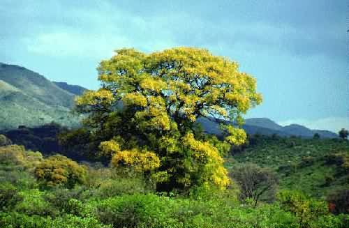 Area Natural Cerro Uritorco