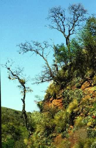 Area Natural Cerro Uritorco