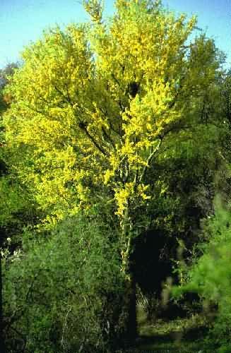 Area Natural Cerro Uritorco