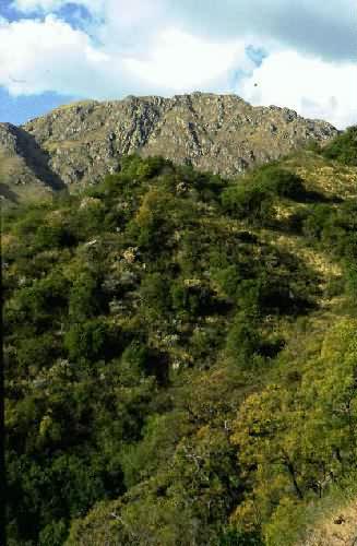 Area Natural Cerro Uritorco