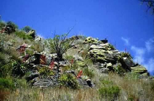 Area Natural Cerro Uritorco