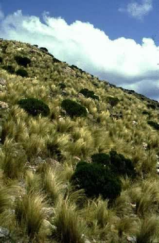 Area Natural Cerro Uritorco