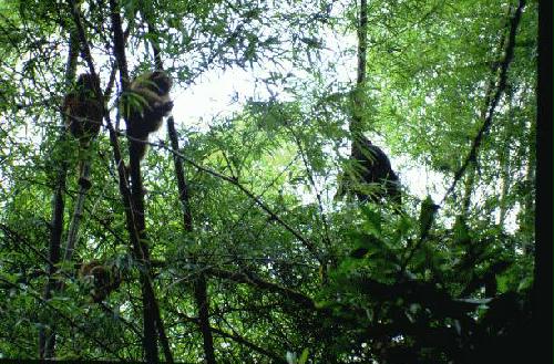 Parque Nacional Mbucuruya