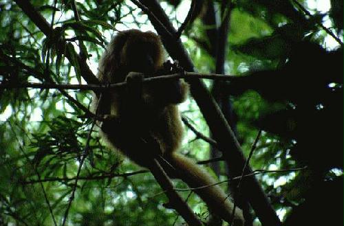 Parque Nacional Mbucuruya