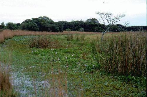 Parque Nacional Mbucuruya