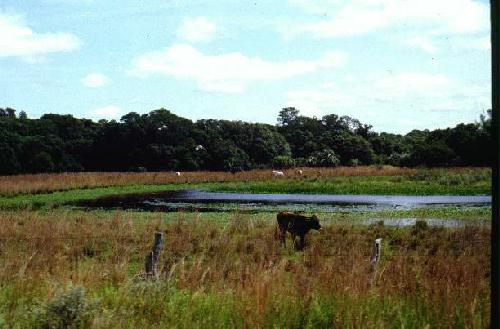 Parque Nacional Mbucuruya