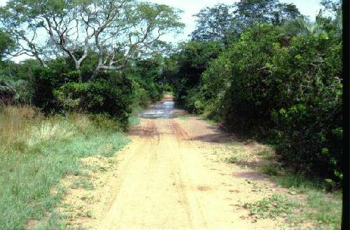 Parque Nacional Mbucuruya