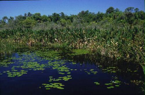 Parque Nacional Ibera