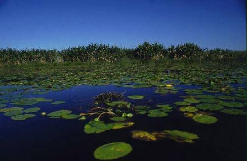 Parque Nacional Iber