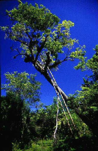 Parque Nacional Iber