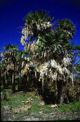 Parque Nacional Iber