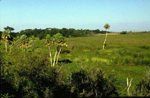 Parque Nacional Iber