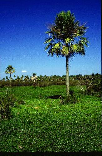 Parque Nacional Iber