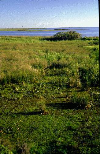 Parque Nacional Iber