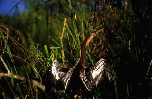 Parque Nacional Iber