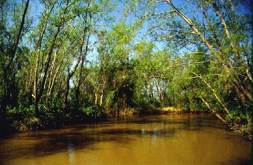 Parque Nacional Diamante