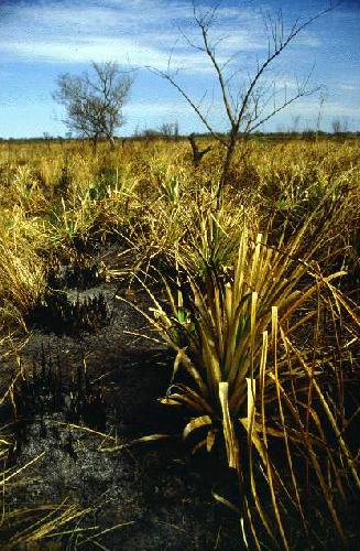 Parque Nacional Diamante