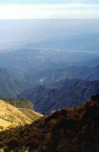 Parque Nacional Calilegua