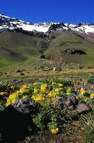 Area Natural Las Cuevas