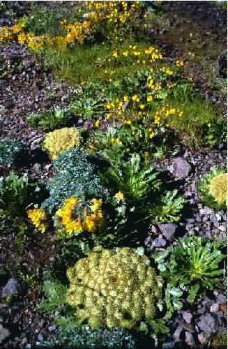 Area Natural Las Cuevas