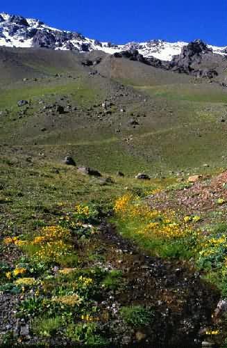 Area Natural Las Cuevas