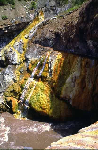 Area Natural Puente del Inca