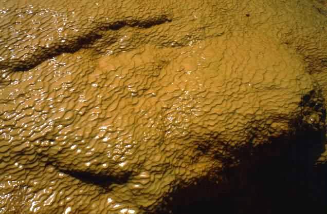 Area Natural Puente del Inca