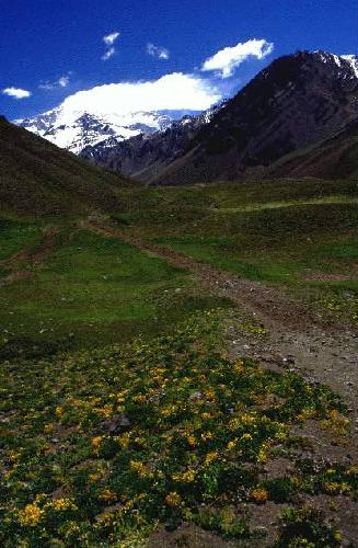 Parque Provincial Aconcagua