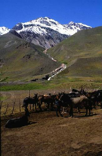 Parque Provincial Aconcagua