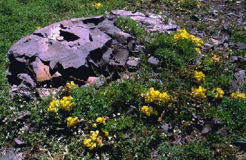 Parque Provincial Aconcagua