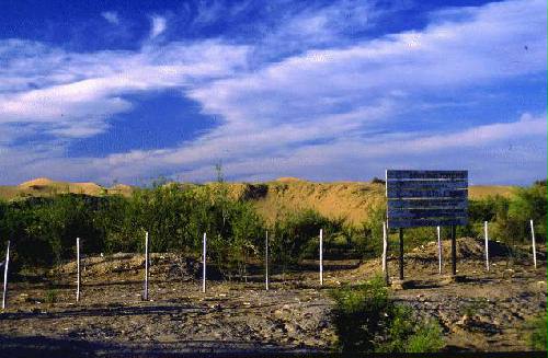 Reserva de Flora y Fauna Telteca