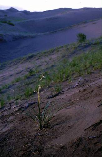 Reserva de Flora y Fauna Telteca