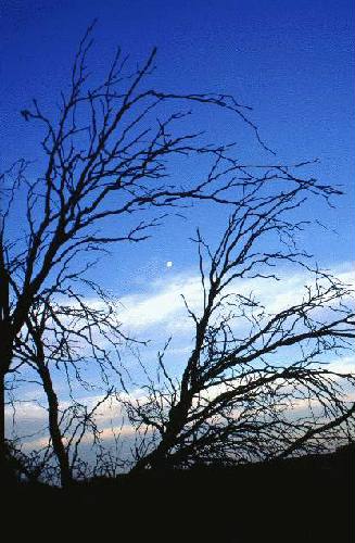 Reserva de Flora y Fauna Telteca