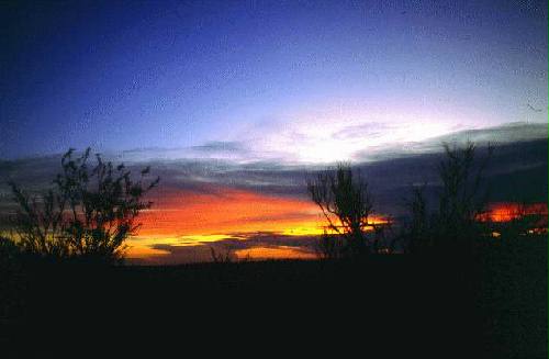 Reserva de Flora y Fauna Telteca