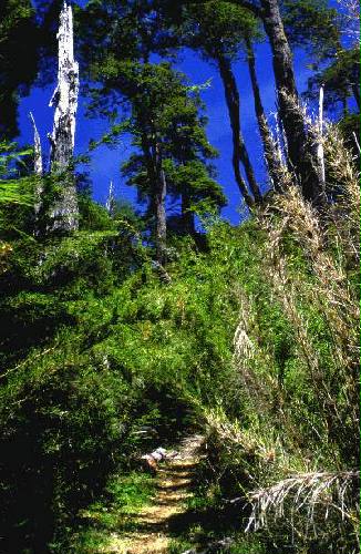 Parque Nacional Nahuel Huap