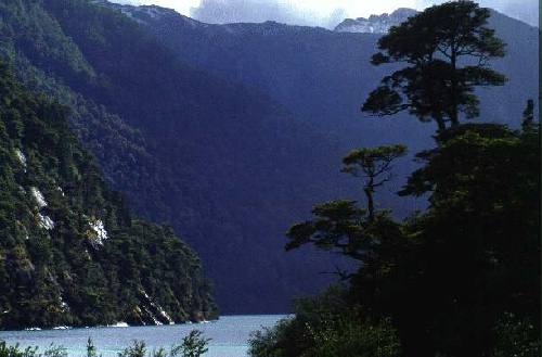 Parque Nacional Nahuel Huap
