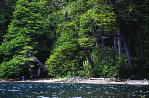 Parque Nacional Nahuel Huap
