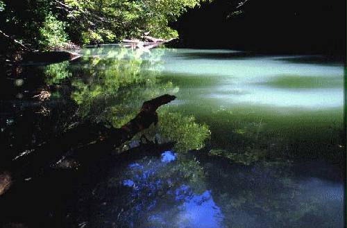 Parque Nacional Nahuel Huap