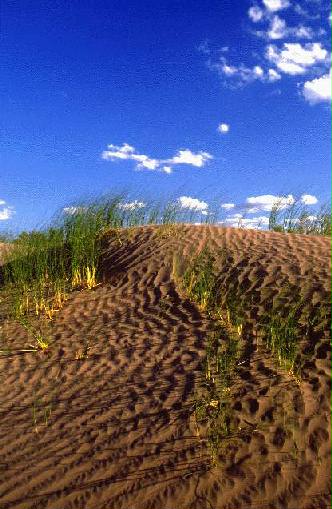 Area Natural Medanos Grandes